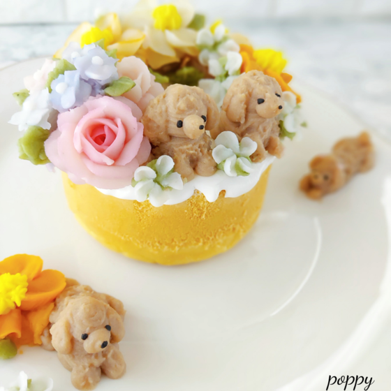 ワンちゃんネコちゃんの料理教室