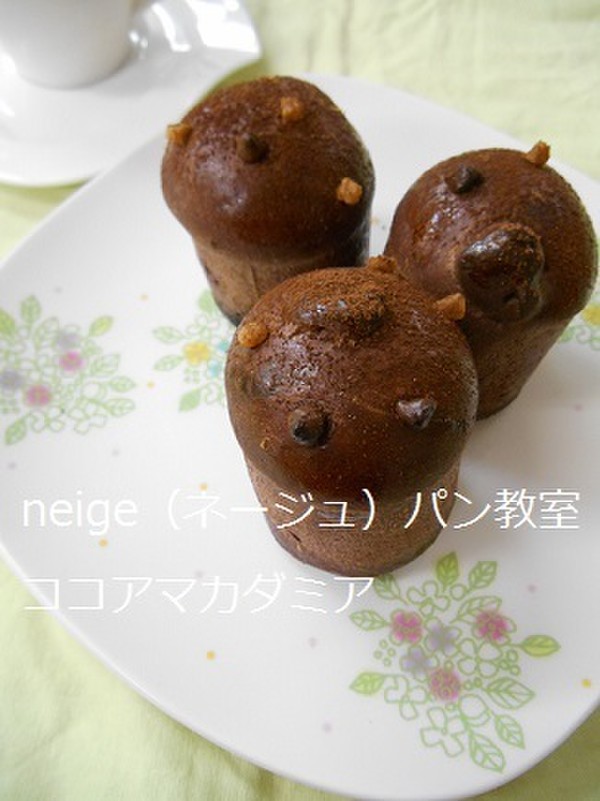 ココアマカダミア