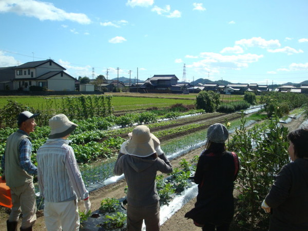 不定期で開催の農業体験ツアー。