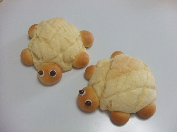 “カメロン”です　目が可愛いでしょう