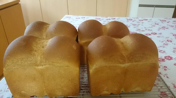 山型食パン