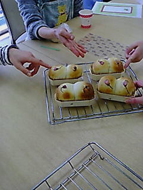 ❀一足早く桜満開❀
