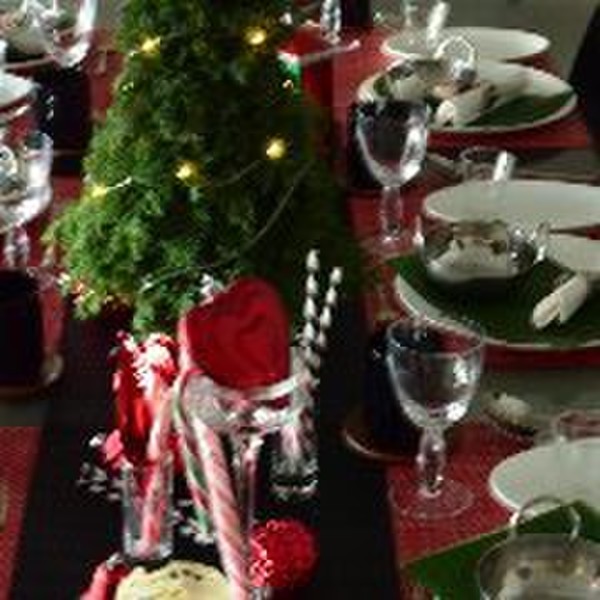 南インドの会。クリスマスコーディネート。