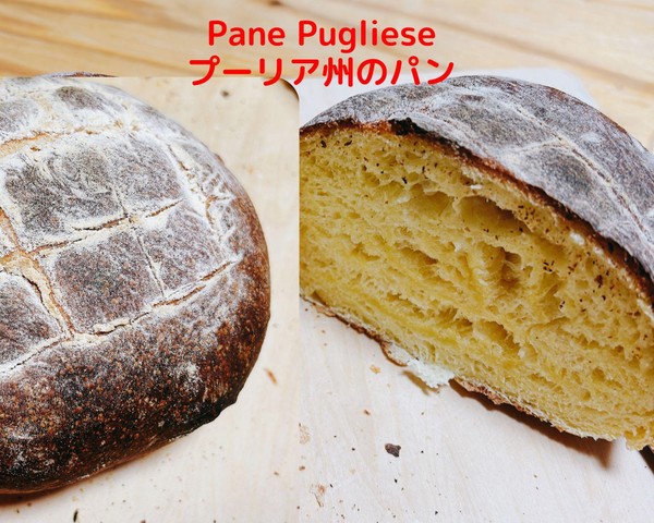 毎回、手焼きイタリアパンをご用意しております。