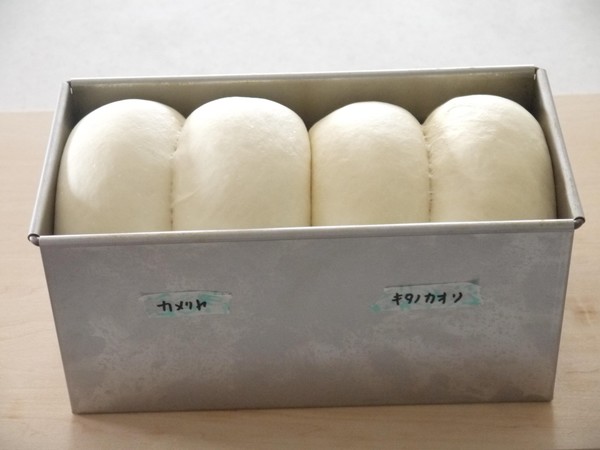 【パン理論基礎コース】食材の種類を代えて比較します。