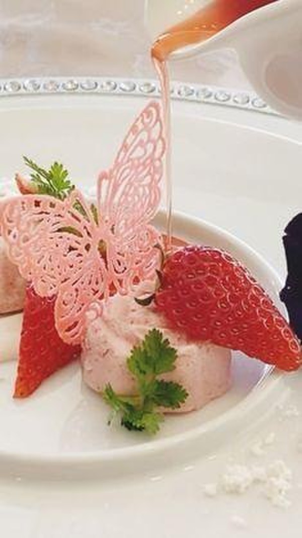人気のバタフライレースチュイル