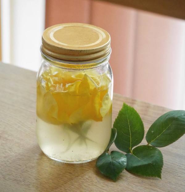 お庭の薔薇まで酵母に！