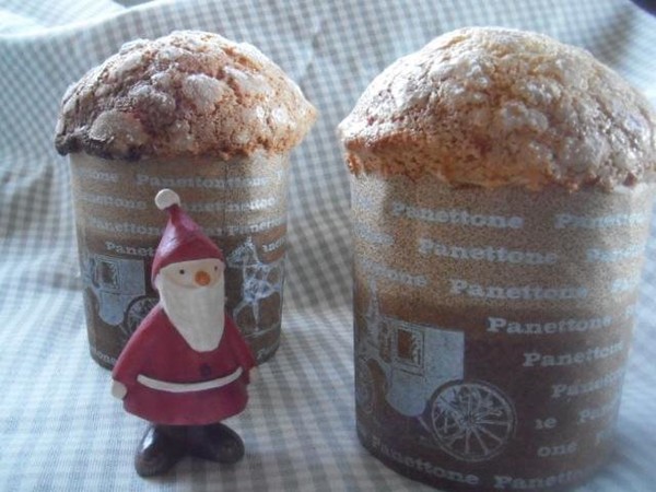 クリスマスパネトーネ