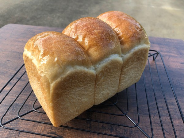 山食
丸めるだけの成形。意外に難しい