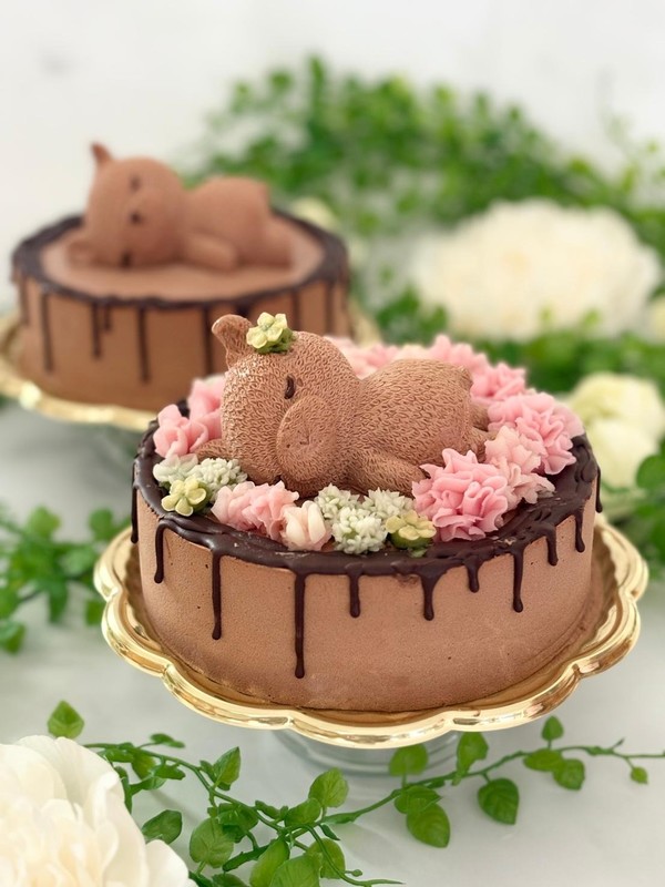 チョコレートムースケーキ+あんこのお花+お昼寝クマさん
