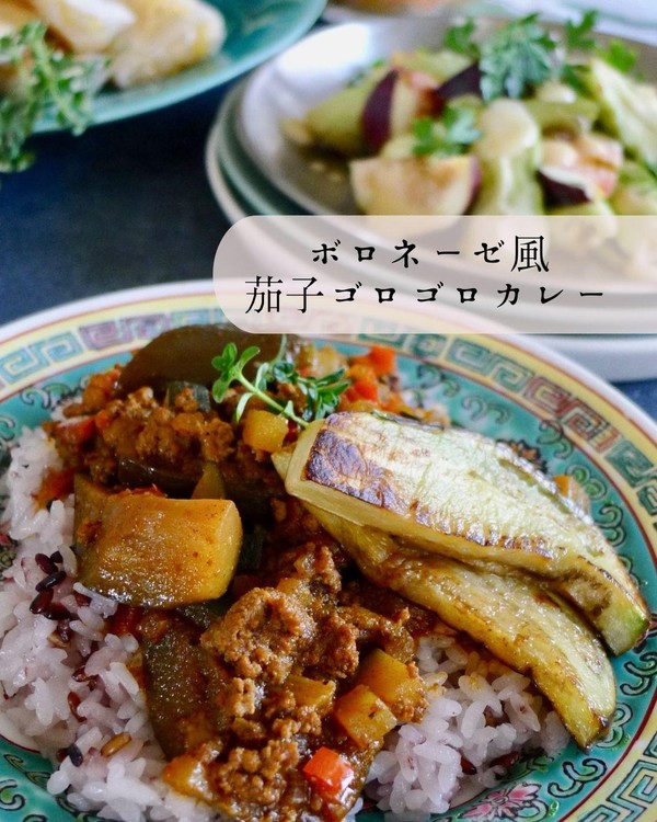２０２４．９　ボロネーゼ風茄子ゴロゴロカレー