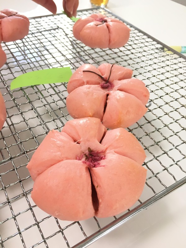 新春のレッスンは春満開桜あんのあんぱん！