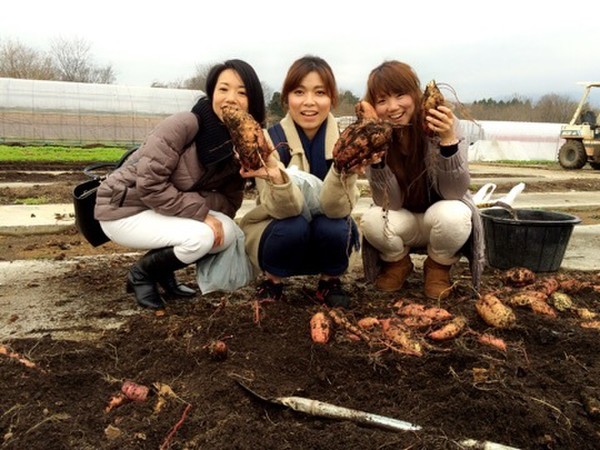 本物の野菜見学へ。