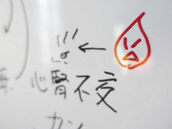 実践コースにて五臓六腑の働きを楽しく図解（柏教室）