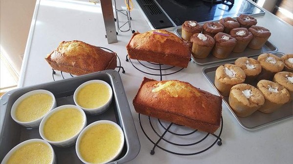 2種のカップシフォンといちじくのパウンドケーキ