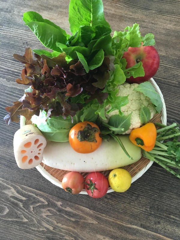 旬菜教室の野菜たち〜♪