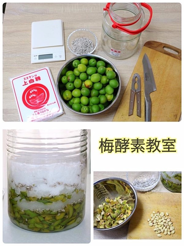 酵素教室