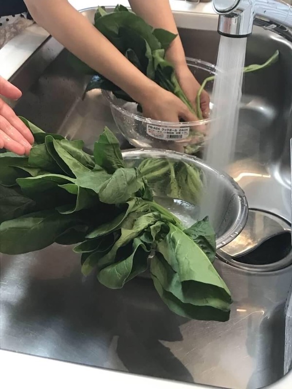 ほうれん草も丁寧に洗います