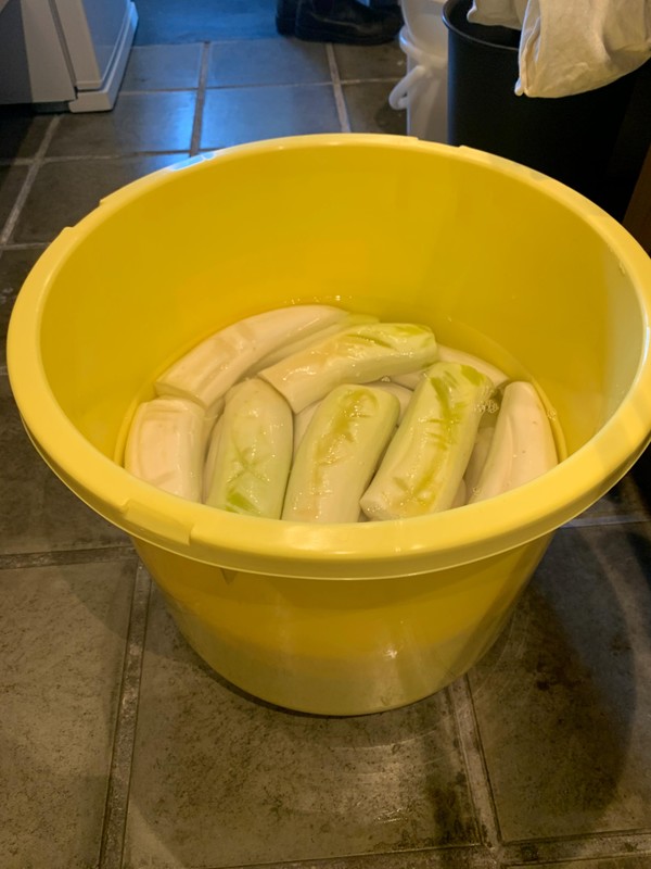 お漬物作り　大根の荒漬け中