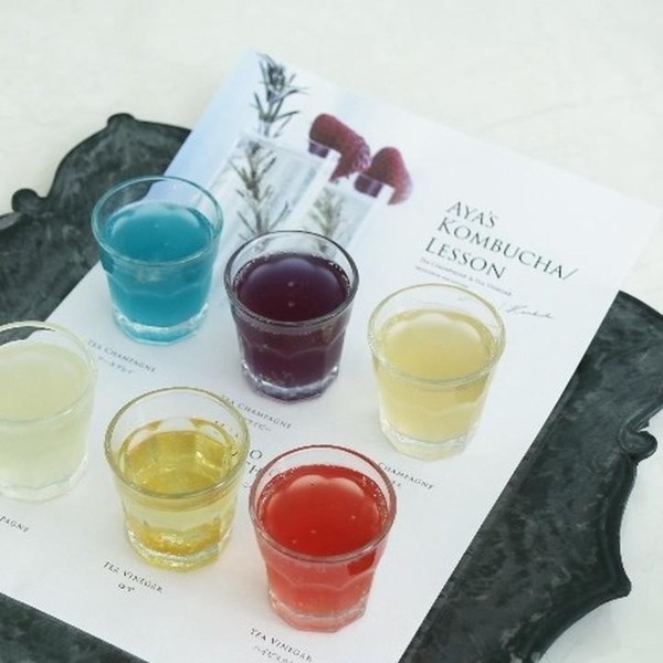 kombucha株分けレッスンの6種類の試飲プレートです。