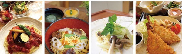 全部植物性のものばかり。
お野菜は、北海道有機無農薬野菜。