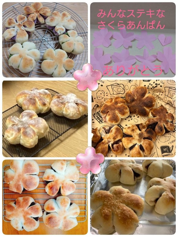 2月の子ども教室で、さくらあんぱんを作りました。