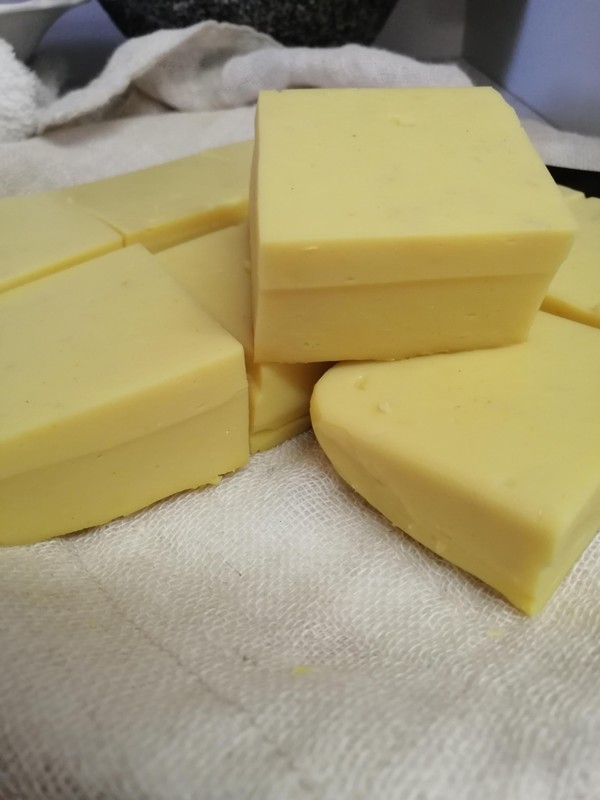ひよこ豆豆腐作るワークショップ