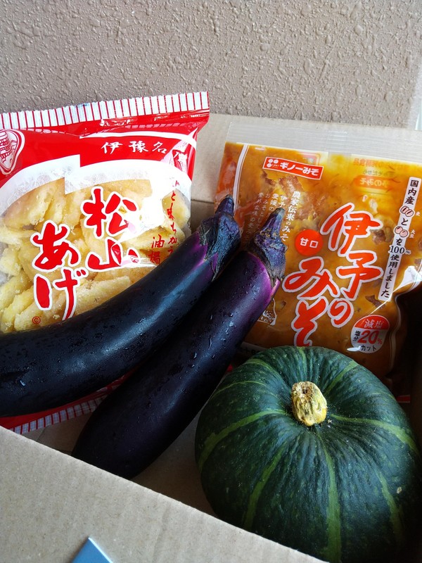 えひめの郷土料理オンラインレッスン　食材セット例※レシピつき