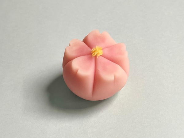 体験レッスンで作る桜の花の練り切りです
