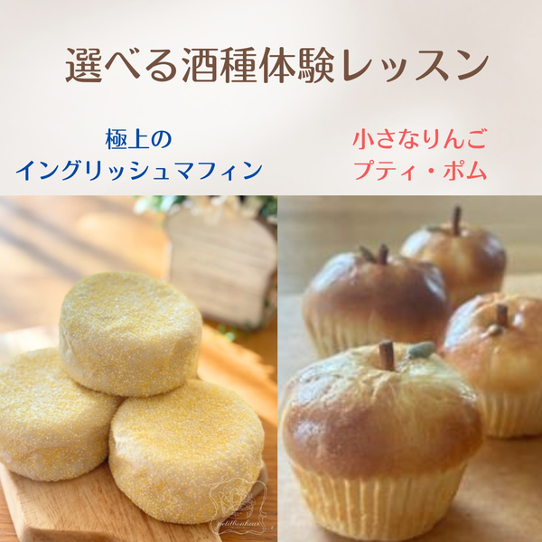 選べる体験レッスン