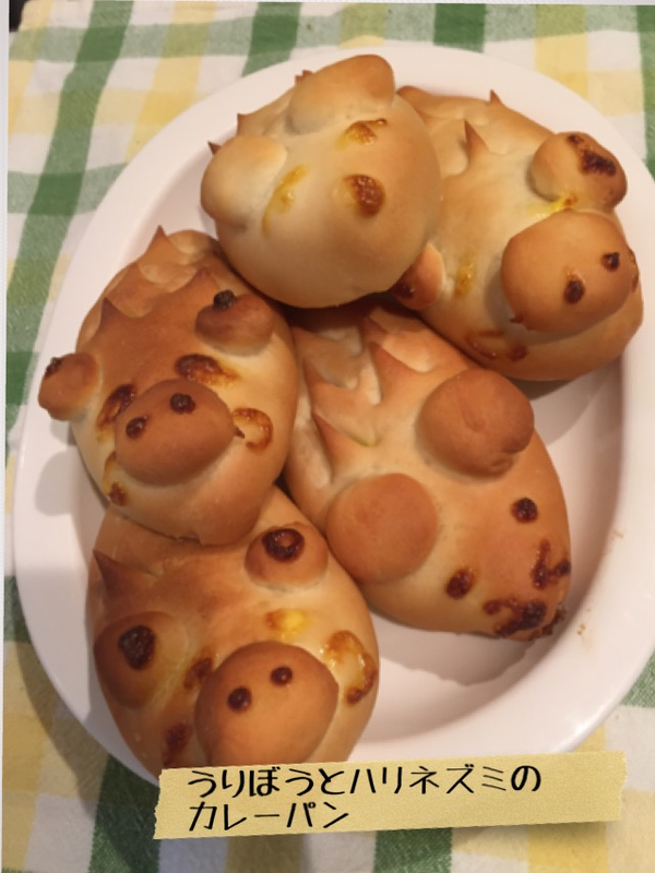 第14回はうりぼうとハリネズミのカレーパンを作りました