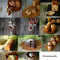 FOODACT(kimamacafe.yuki)