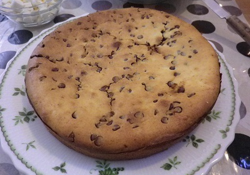 チョコチップ入り　ヨーグルトのチャンベッラ
