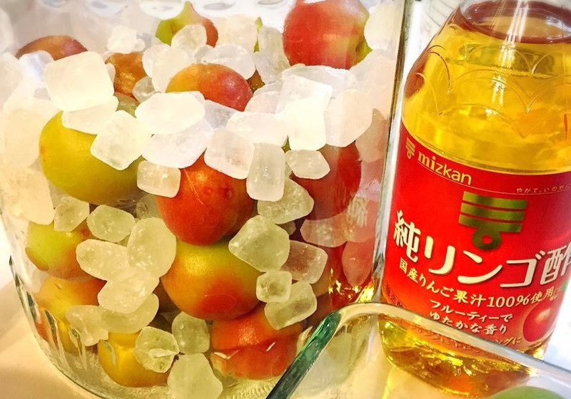 梅シロップの検証　白砂糖・氷砂糖&お酢
