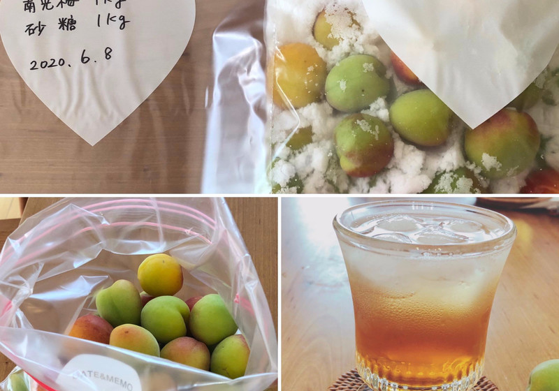 お家で作れる】「ジッパーバッグで作る梅シロップ」の作り方（食