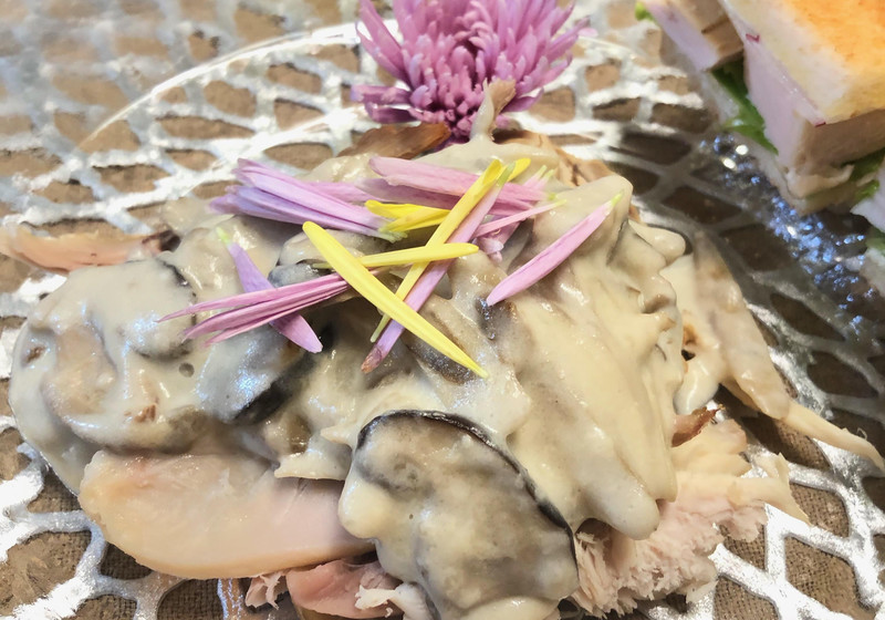 ターキーチキンのゴボウクリームソース添え