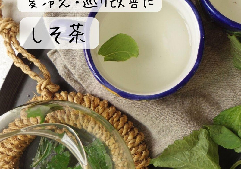 心身の巡り改善に｜簡単！しそ茶