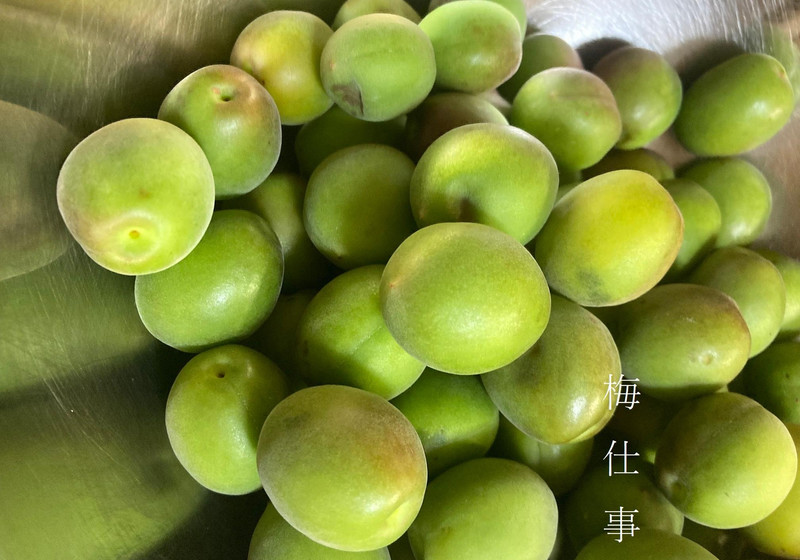 自家製青梅シロップ