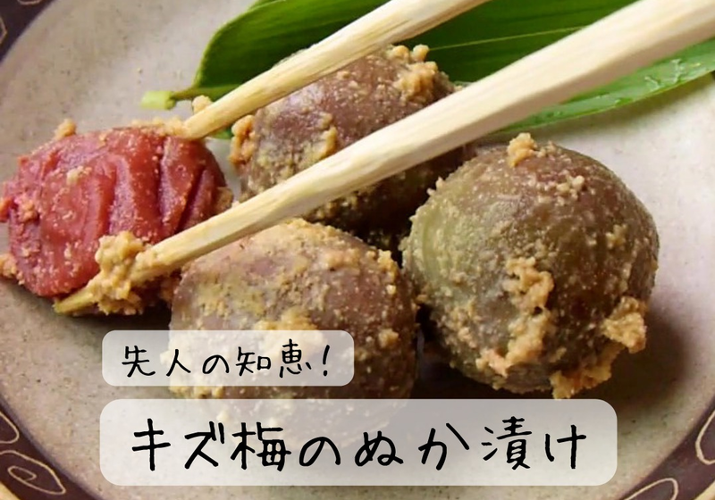 おばあちゃんの知恵「キズ梅のぬか漬け」